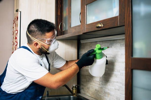 Best Best Pest Control Companies  in Berkeley Lake, GA