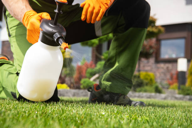 Best Residential Pest Control  in Berkeley Lake, GA