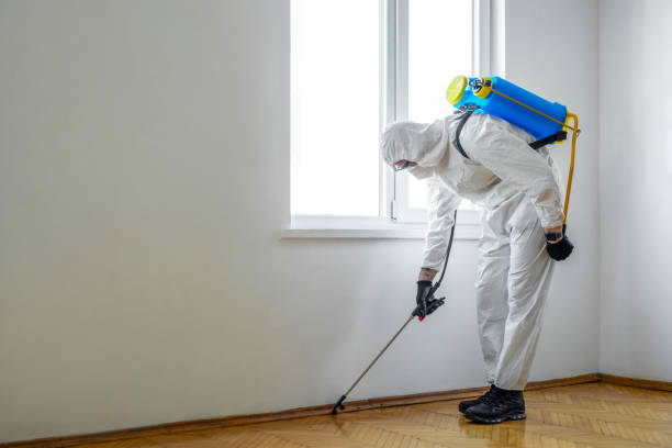 Trusted Berkeley Lake, GA Pest Control Experts