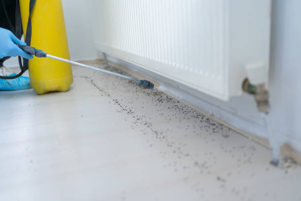 Best Wasp Removal Services  in Berkeley Lake, GA