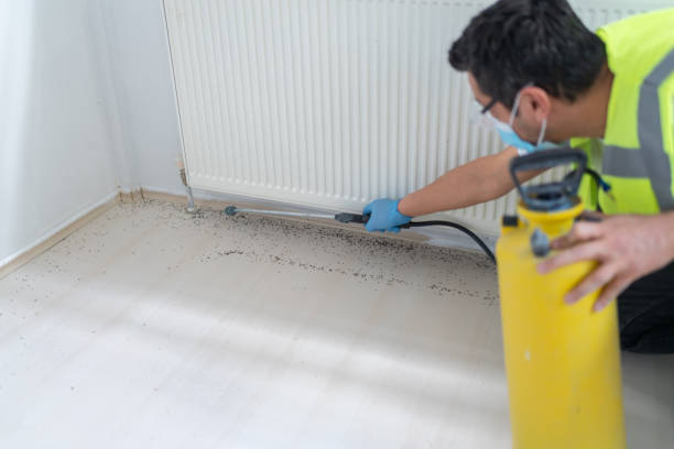Professional Pest Control in Berkeley Lake, GA