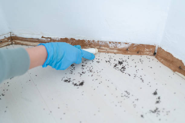 Best Pest Control Near Me in Berkeley Lake, GA