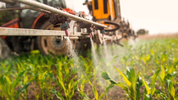 Best Mosquito Control Services  in Berkeley Lake, GA